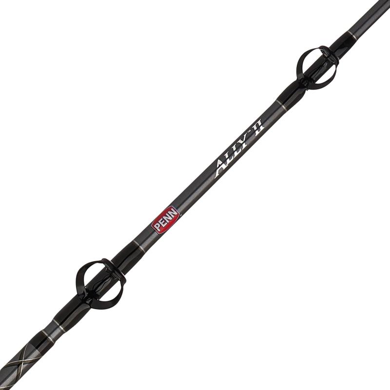 PENN Ally II 80-250lb 6Ft Dd