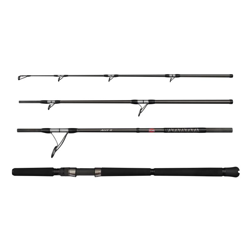 Produktbild PENN Ally II Casting 8Ft Max100G/40-65Lb 4Sec