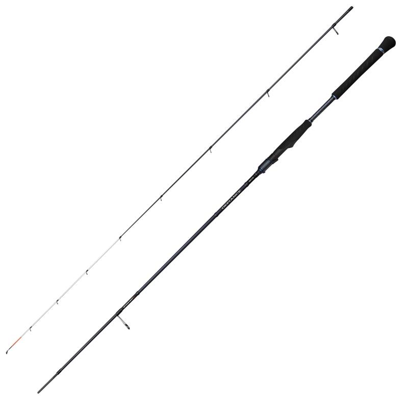 Savage Gear Defiance Sg2 Tenya 2.43M/15-60G 2P