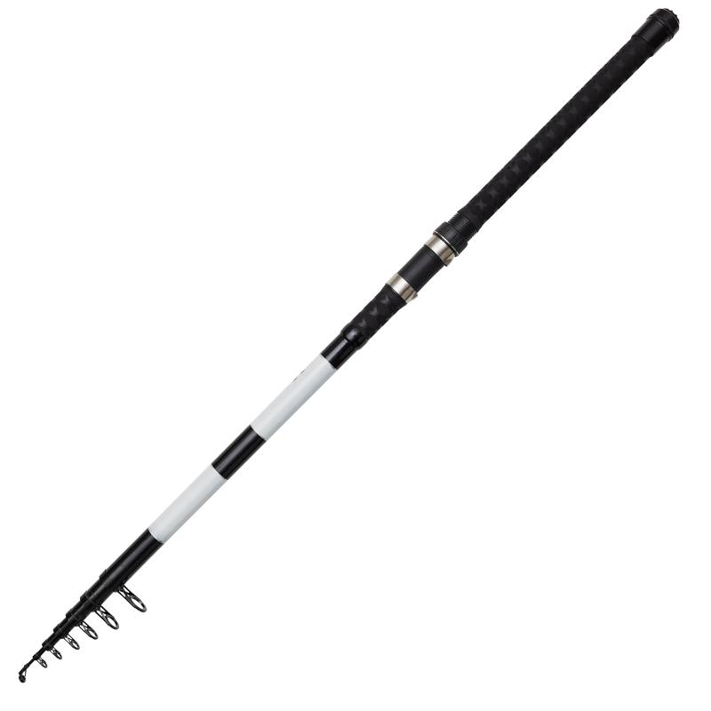 DAM Base-X Tele Stellfisch 19'8''/6.00M M 50-100G 8Sec