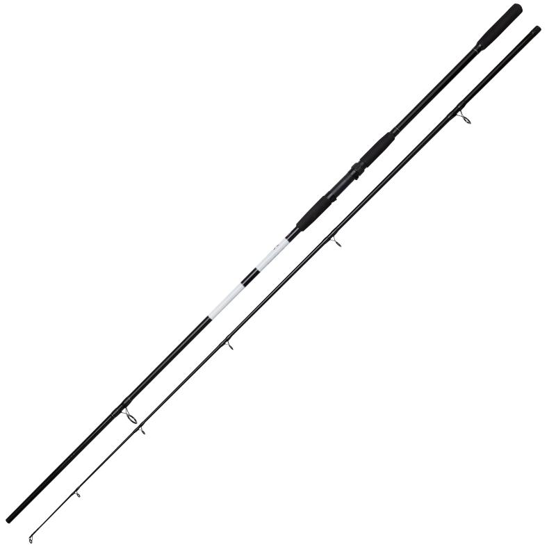 DAM Base-X Carp 10'/3.00M 3.00Lb 2Sec 40Mm Action