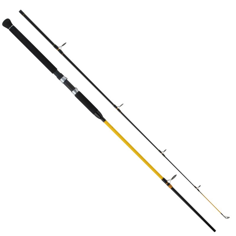WFT N.C. Heavy Spin 100-400g 2,70m
