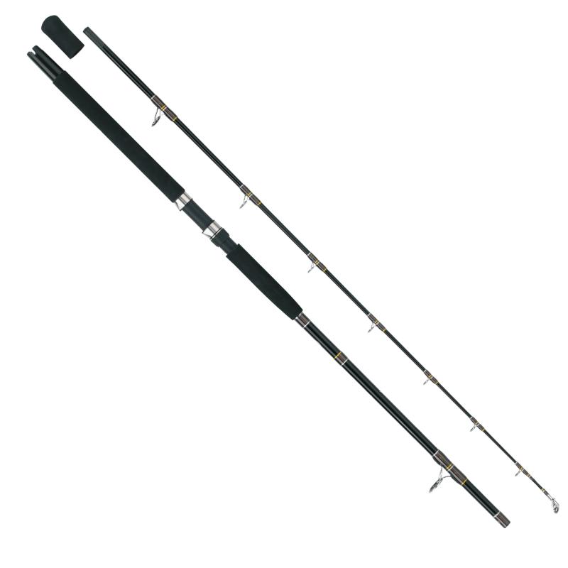 WFT Oceanic Tidec 30lbs 2,10m