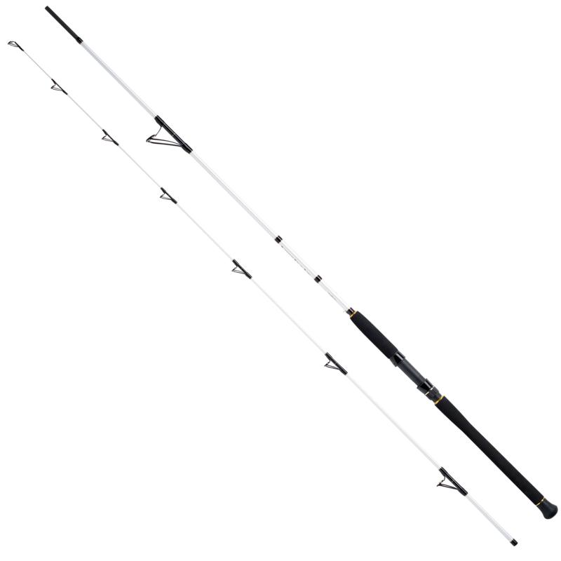 WFT Salzmeister Coastal Jigger 2,75m 40-160g