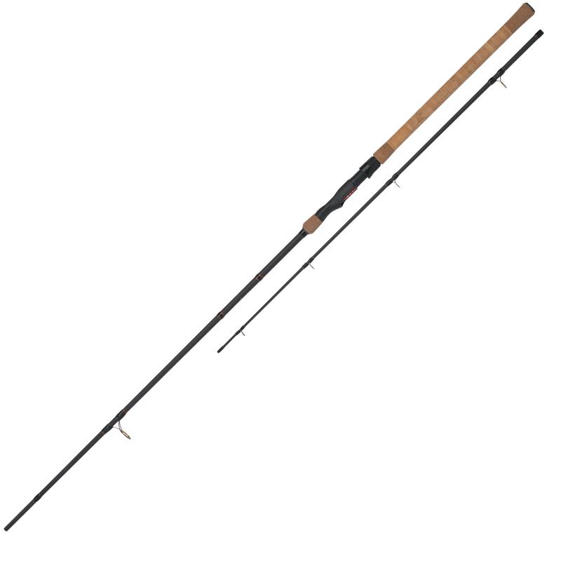 WFT Lake'N'River GIII LTC Aal Feeder bis 200g 2,70m 2pcs.