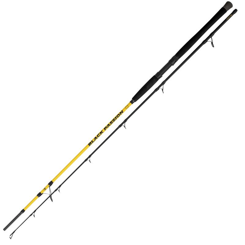Black Cat 2,40m Black Passion G2 Spin Wfg.:50-200g G:275g