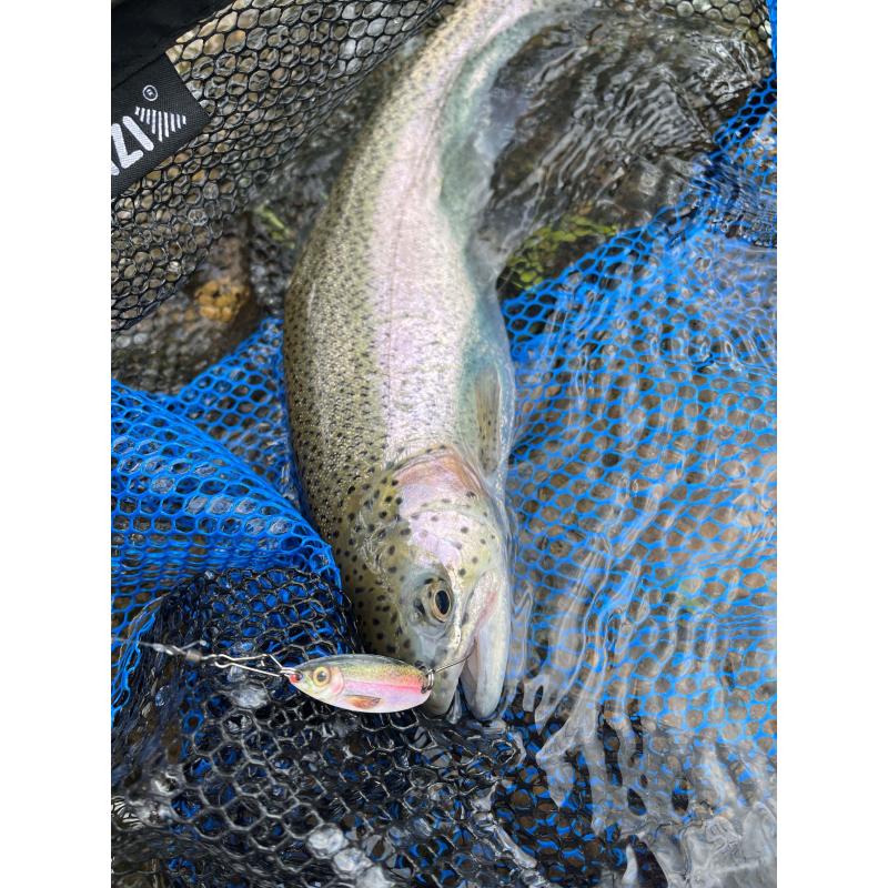 JENZI Trout Spoon 3D, Col 1, 3g