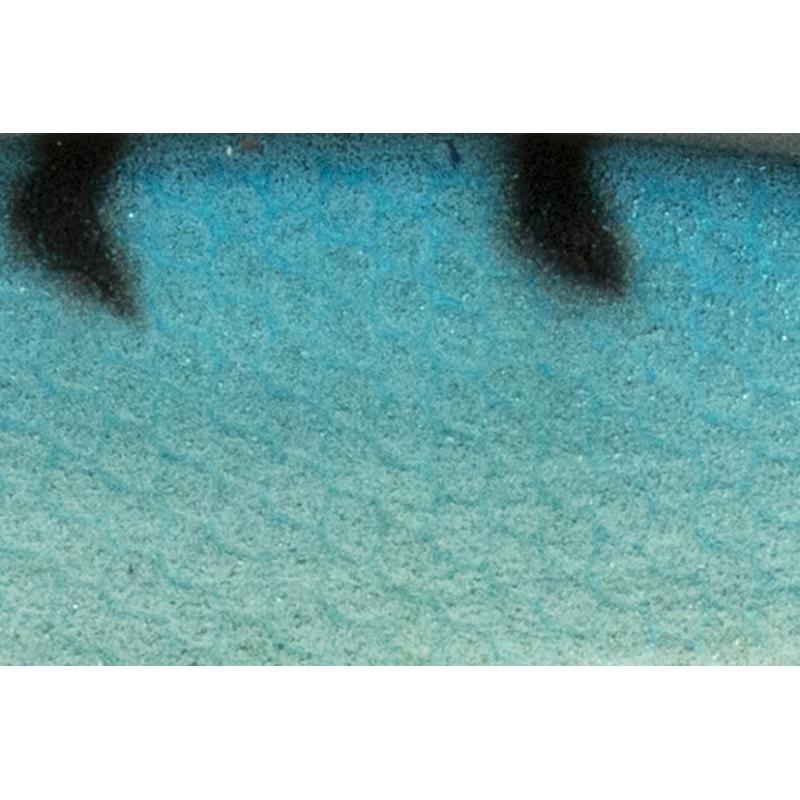 Abu Garcia Mo Coast Tobis 19G Skyblue