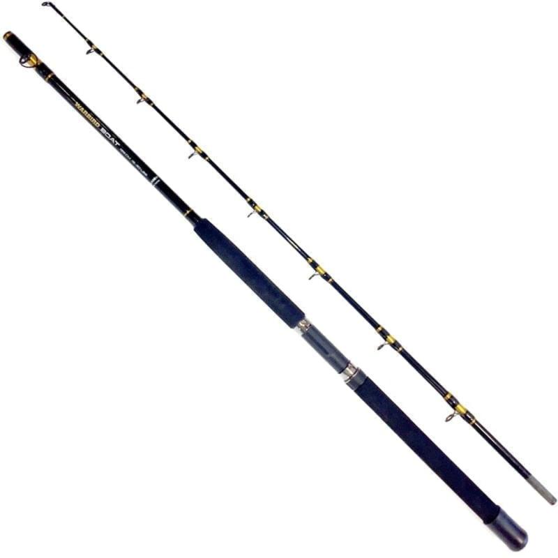 Fladen Warbird LC2000 + Warbird Boat 195cm 15-30Lbs
