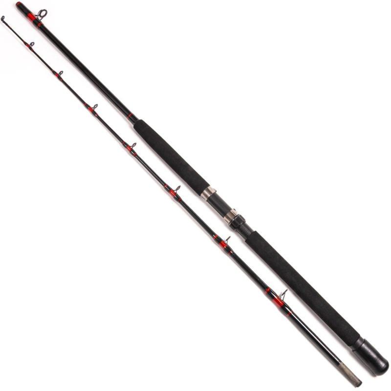 Fladen Combo Warbird GCT 20 w line + Warbird Boat 195cm
