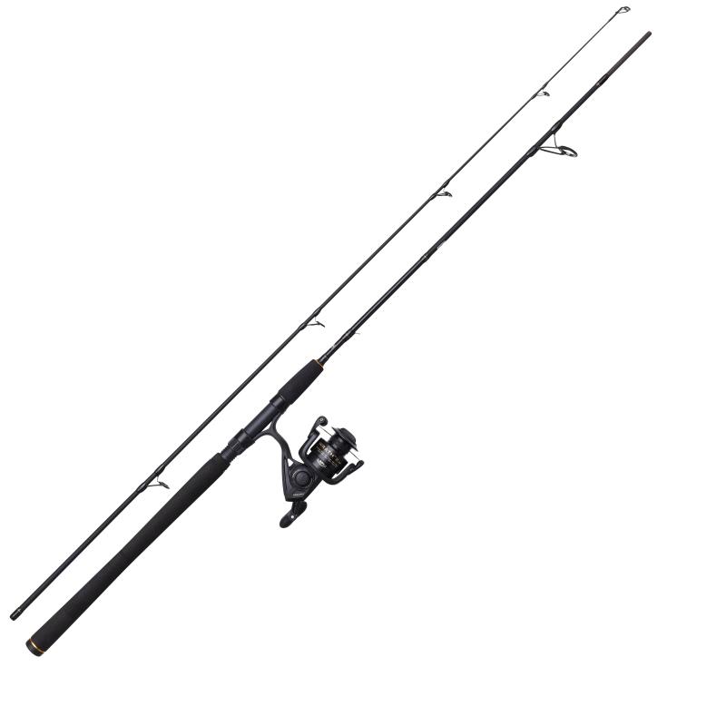 PENN Wrath Ii Spin 1002 20-80G 4000 Cbo