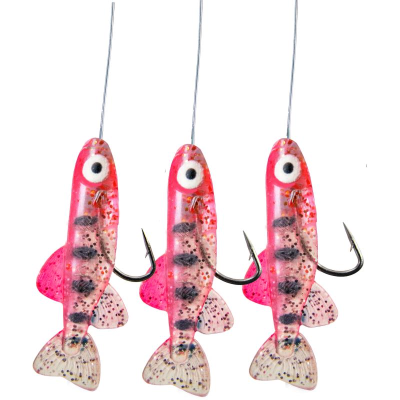 JENZI Hegene mit Fishli&acute;s Farbe P