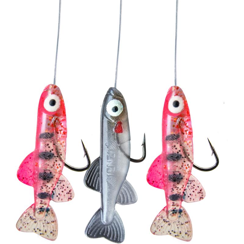 JENZI Hegene mit Fishli&acute;s Farbe R