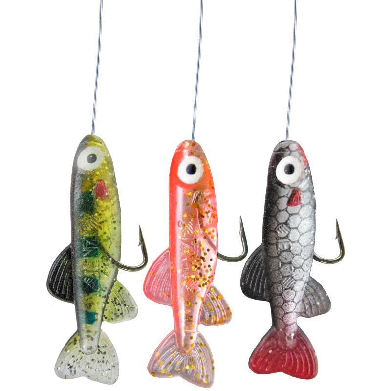 JENZI Hegene mit Fishli&acute;s Farbe S