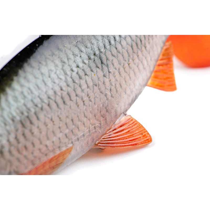 Fox Rage Ultra-Realistic Roach Replicant 14cm - 45g/#2