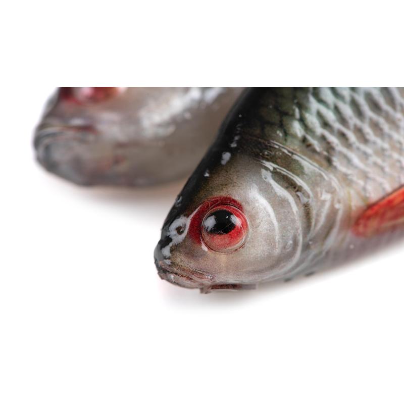 Fox Rage Ultra Natural Roach 18cm