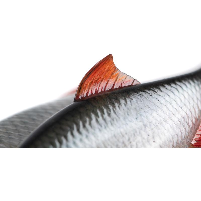 Fox Rage Ultra Natural Roach 14cm