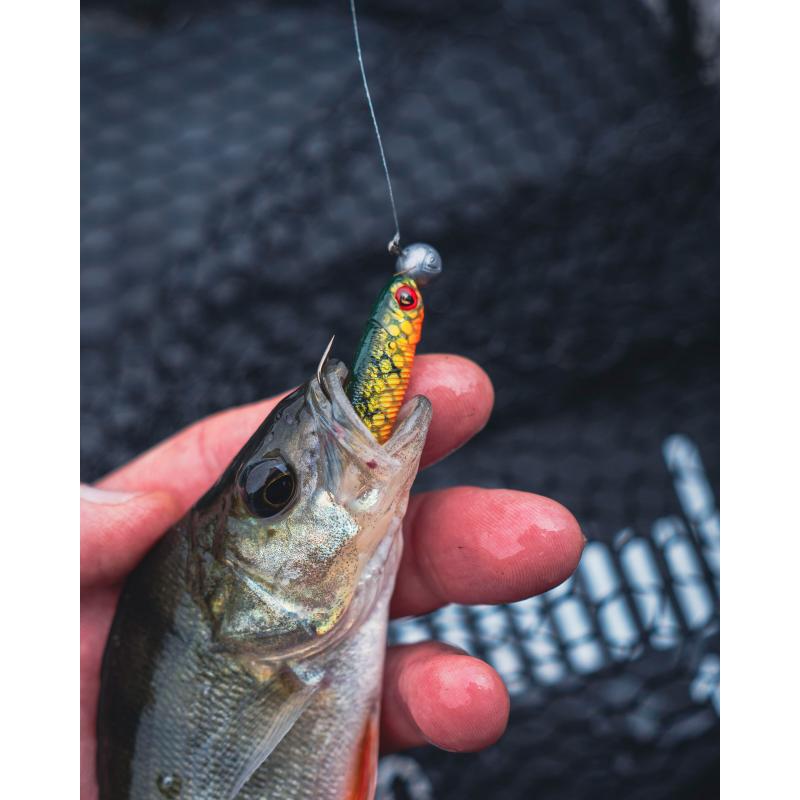 Fox Rage Mini Tiddler Mixed Colour Pack Loaded 4pcs NP WS EF LT