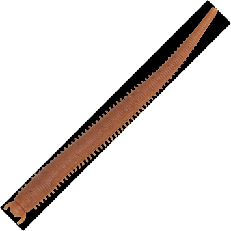 Berkley GULP SW FAT SANDWORM 4IN NATURAL