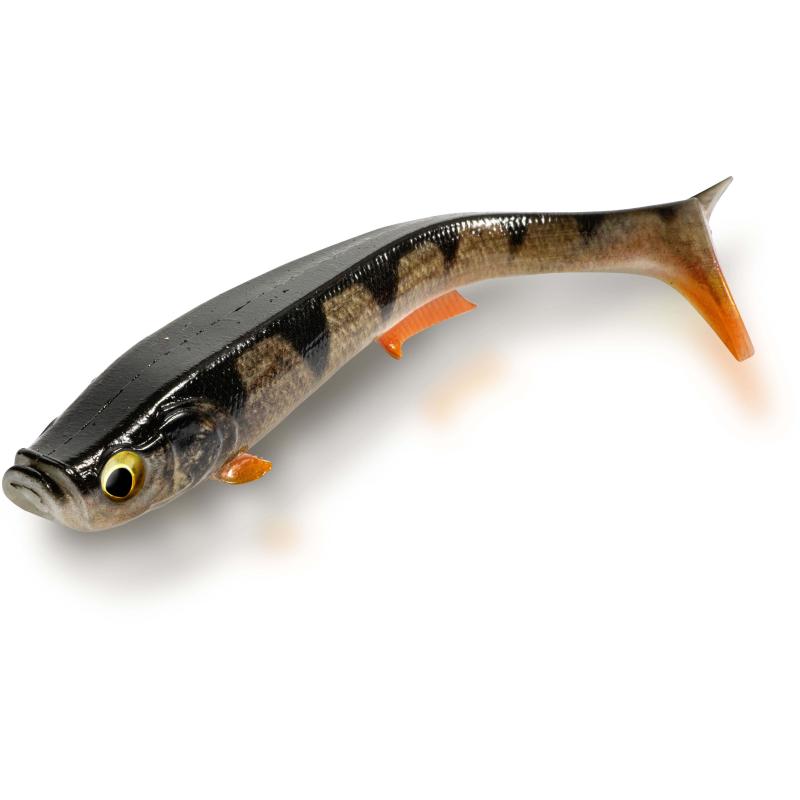 Quantum 16cm Tarp Shad real perch