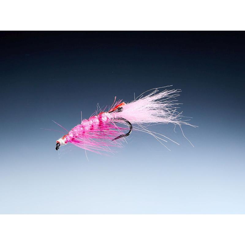 Balzer Pink Shrimp
