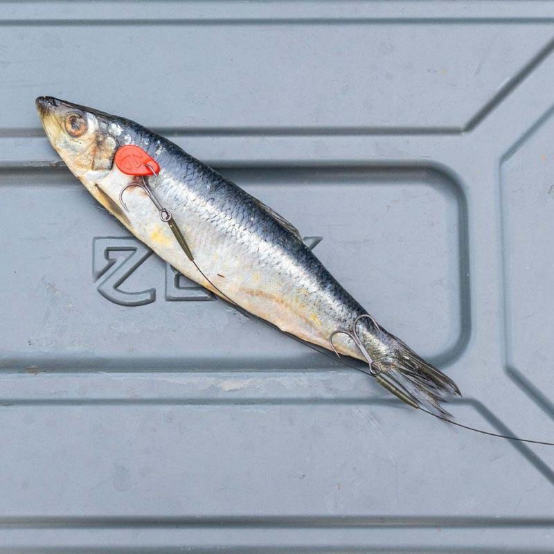Zeck DB Twin Treble #6 Rig