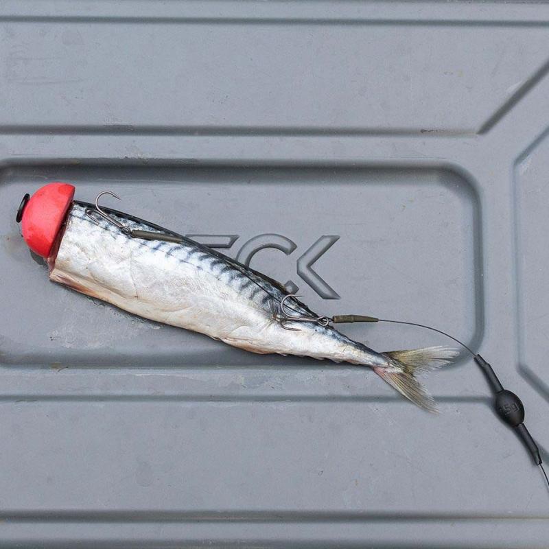 Zeck DB Twin Treble #6 Rig