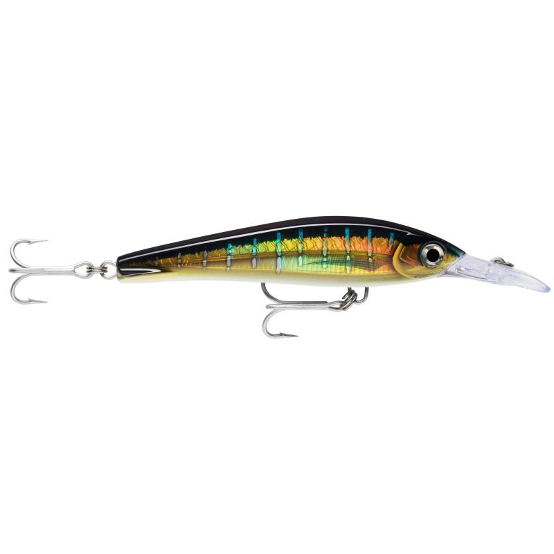 Rapala X-Rap Magnum X-Extr Hdsfu 16cm 2,5m Schwimmend HD Sailfish UV