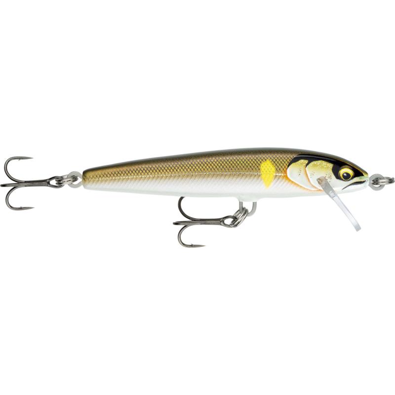 Produktbild RAPALA Floater Elite 120 Gday