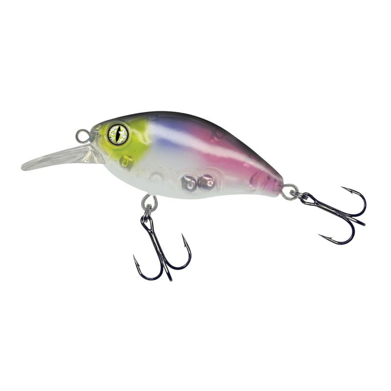 Balzer Shirasu Crank Bait SR Clear Purple 4,5cm