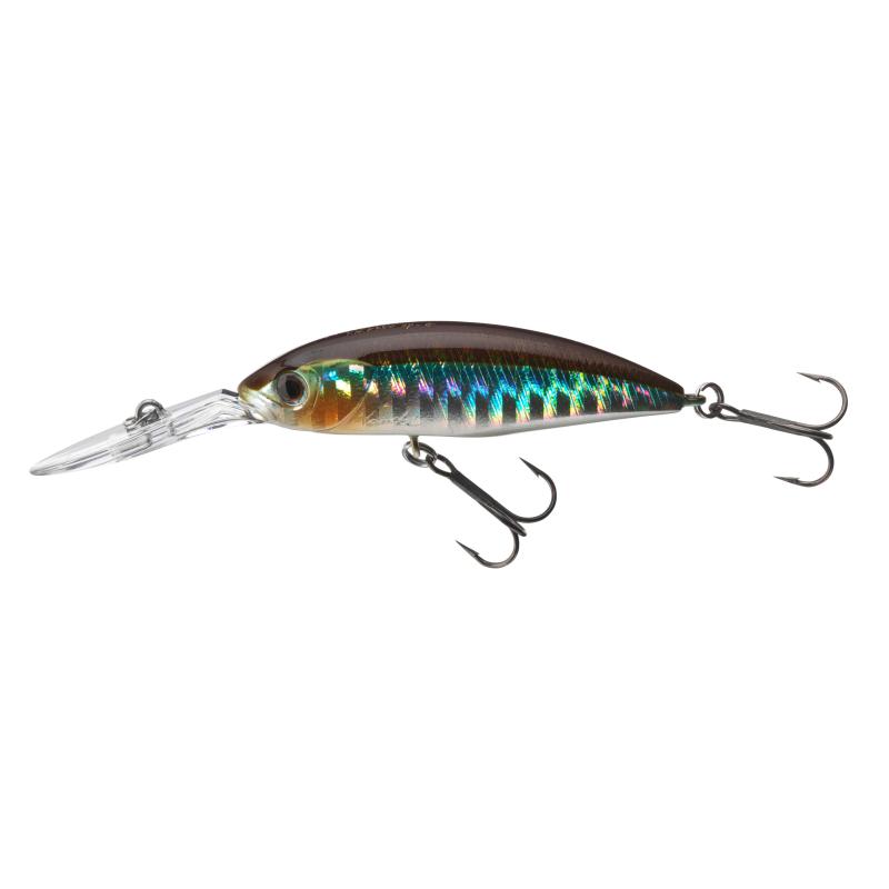Daiwa Tournament Spike 53SP KBNG