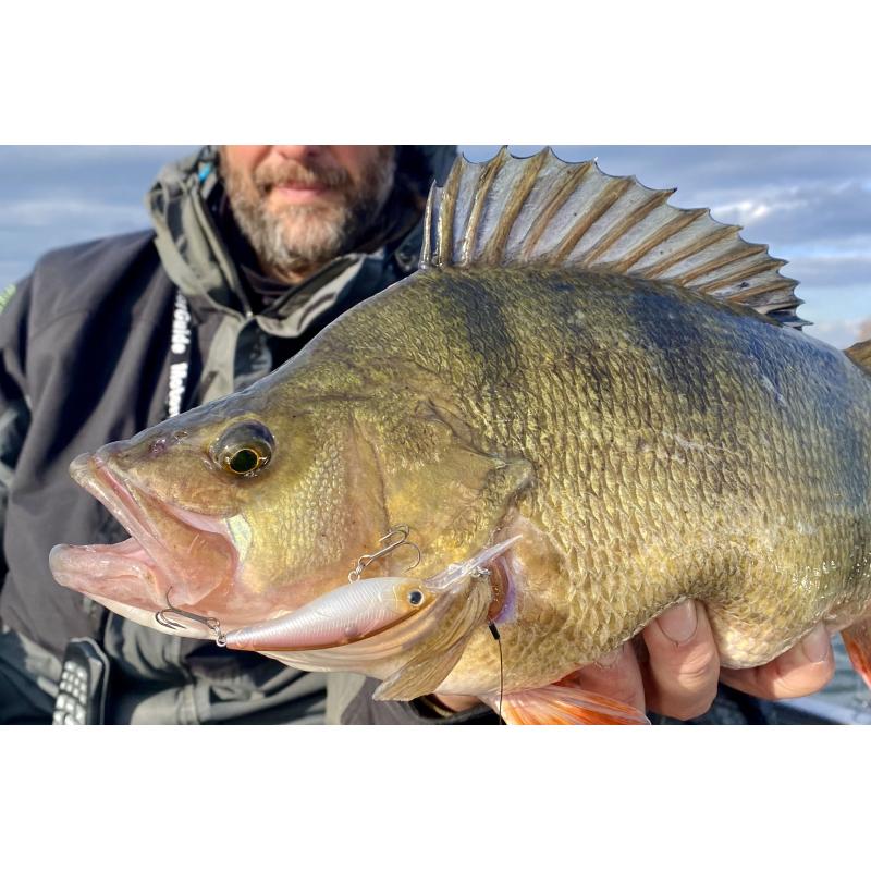 Daiwa Steez Sd60Sp Sr Gw