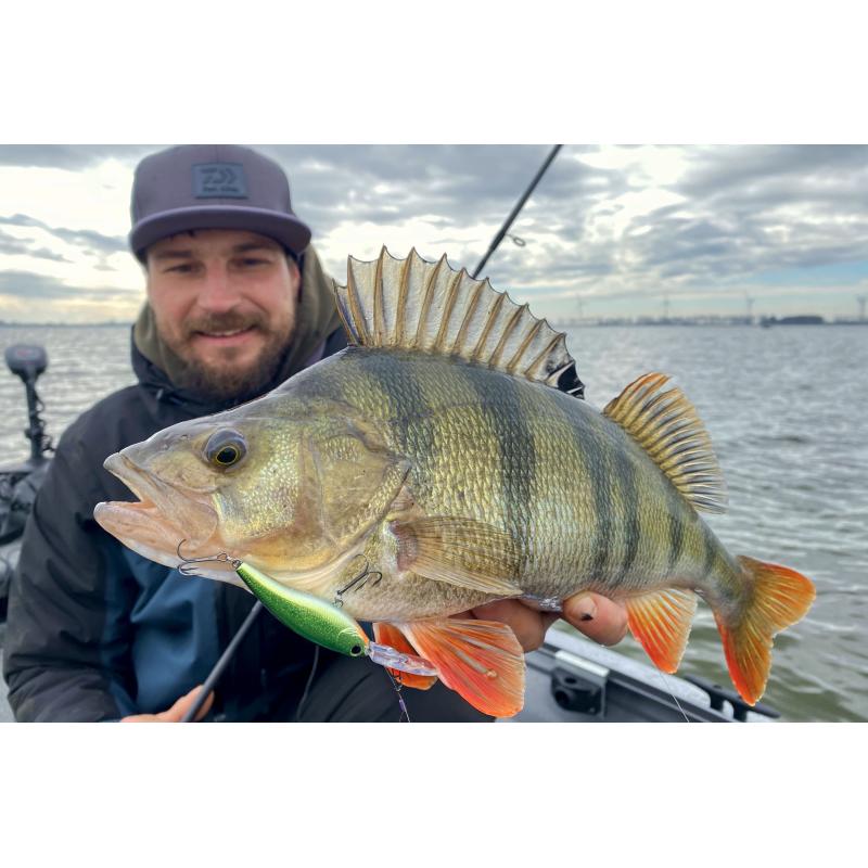 Daiwa Steez Sd60Sp Sr Al