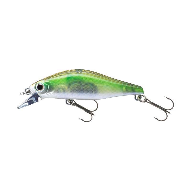 Daiwa TN Wise Minnow 50FS GFG