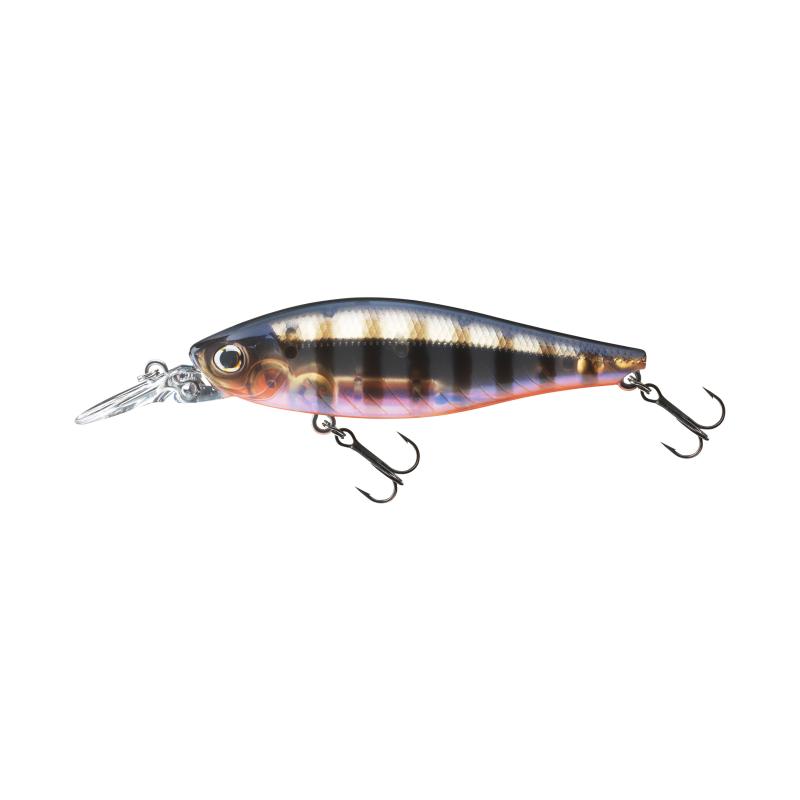 Daiwa TN Tightwave Shad 75F PG Perch