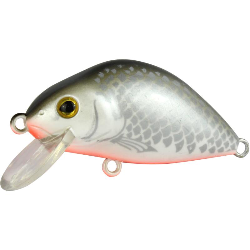 Seika Pro Kamakura White Fish 60mm