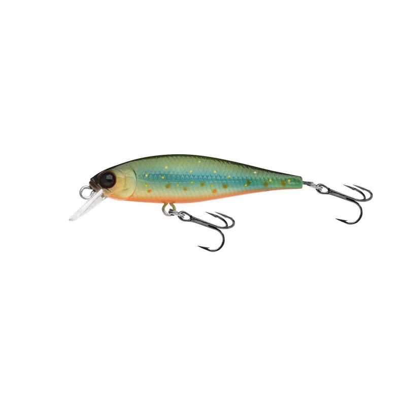 Lucky Craft Pointer 48 Brook Trout - Kawa Masu