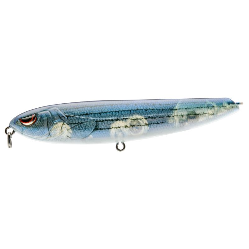 Spro Walking Haint 155 Baby Striper