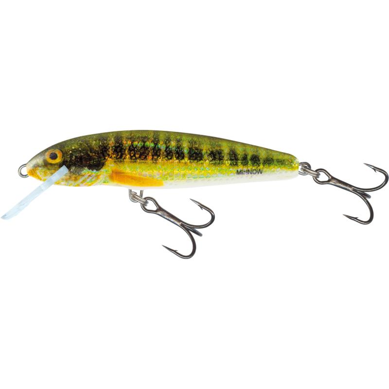 Salmo Minnow Sinking 5cm 5G Holo Real Minnow 0,8/1,5m