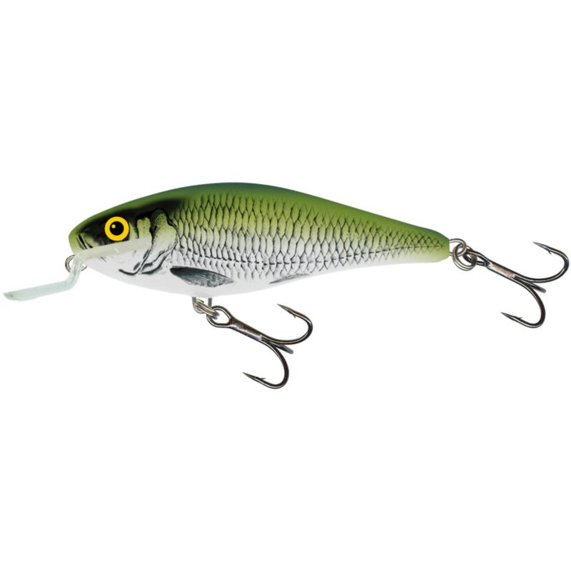 Salmo Executor 5 Shallow Runner Olive Bleak