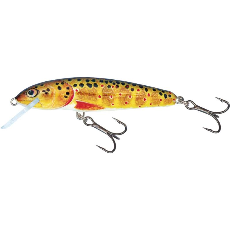 Salmo Minnow Sinking 6cm Trout