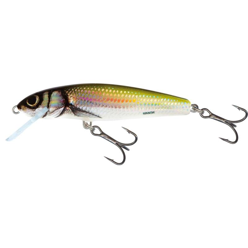 Salmo Minnow Floating 6cm Holo Bleak