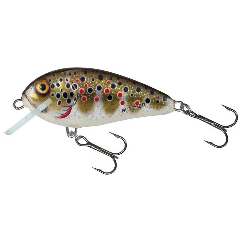 Salmo Br5F Holographic Bachforelle