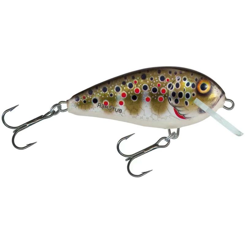 Produktbild Salmo Br5S Holographic Bachforelle