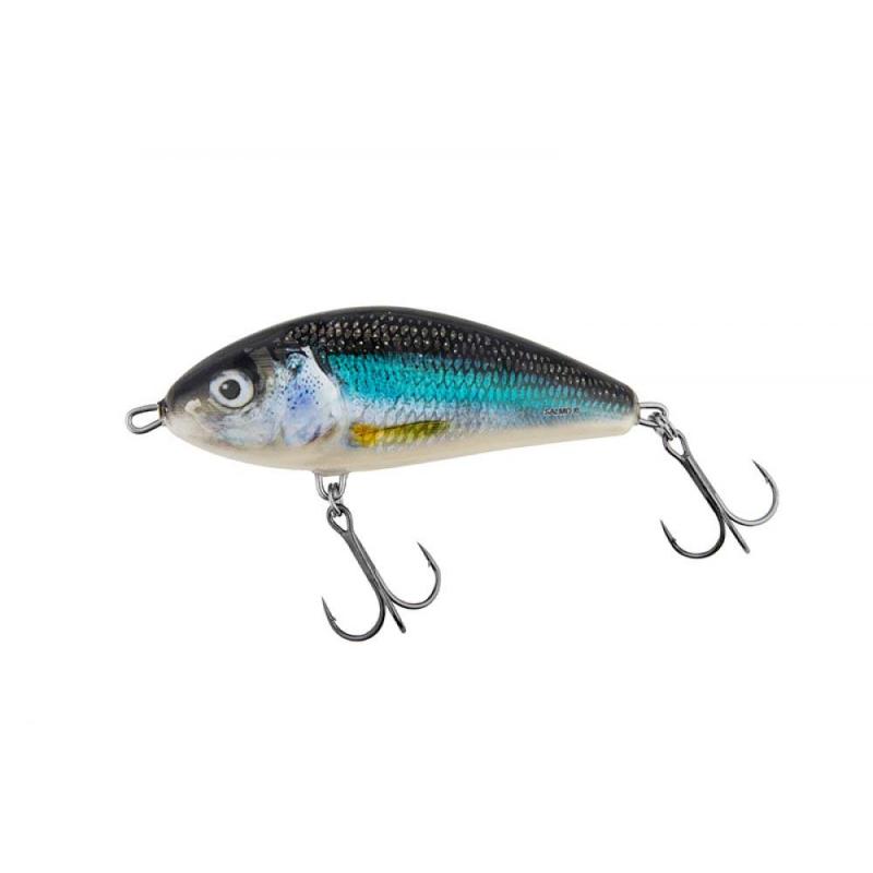 Salmo F10F Holo Smelt