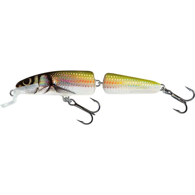 Salmo IF7F HOLO BLEAK