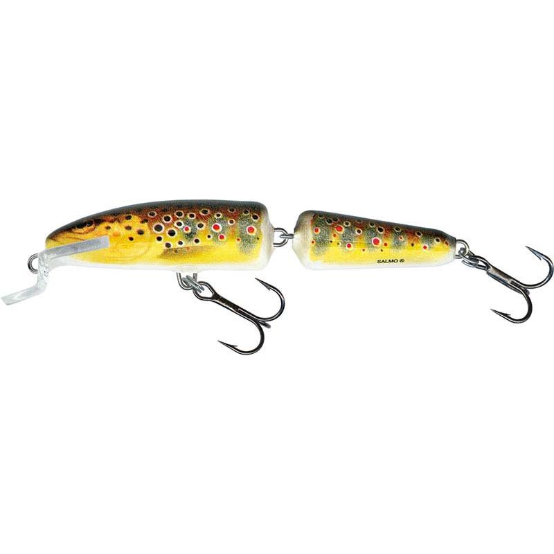 Salmo IF7F Trout