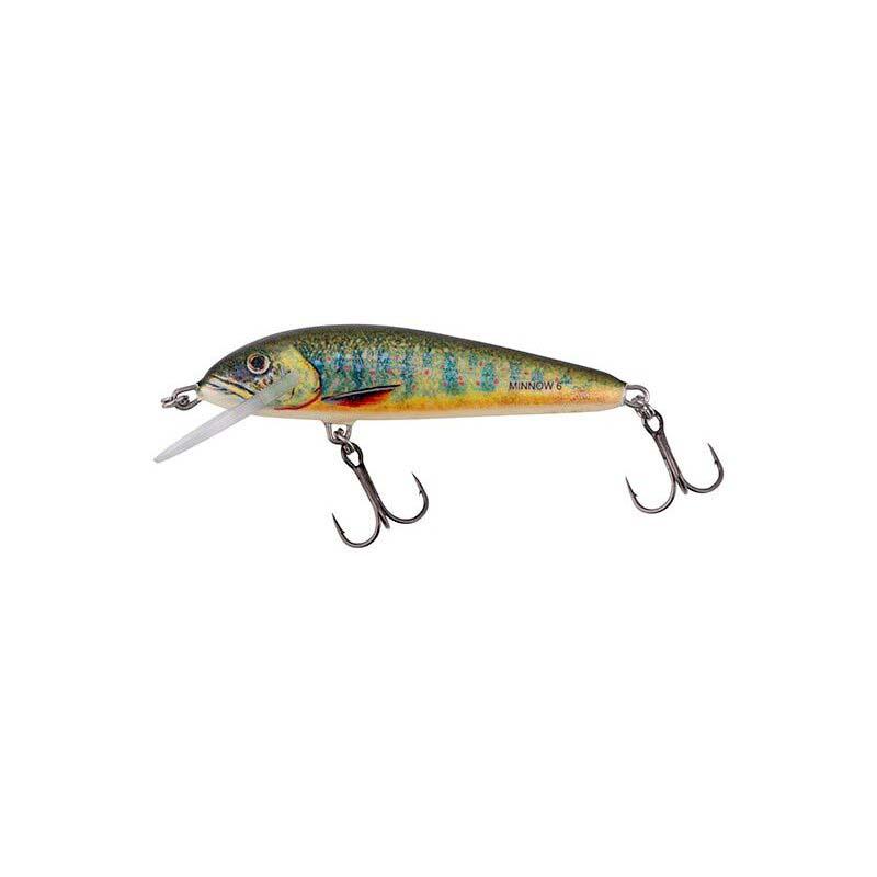 Salmo Minnow 7F LAKE CHARR