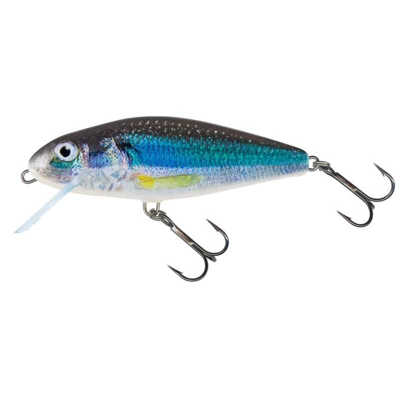 Salmo Perch 12cm Floating HOLO SMELT