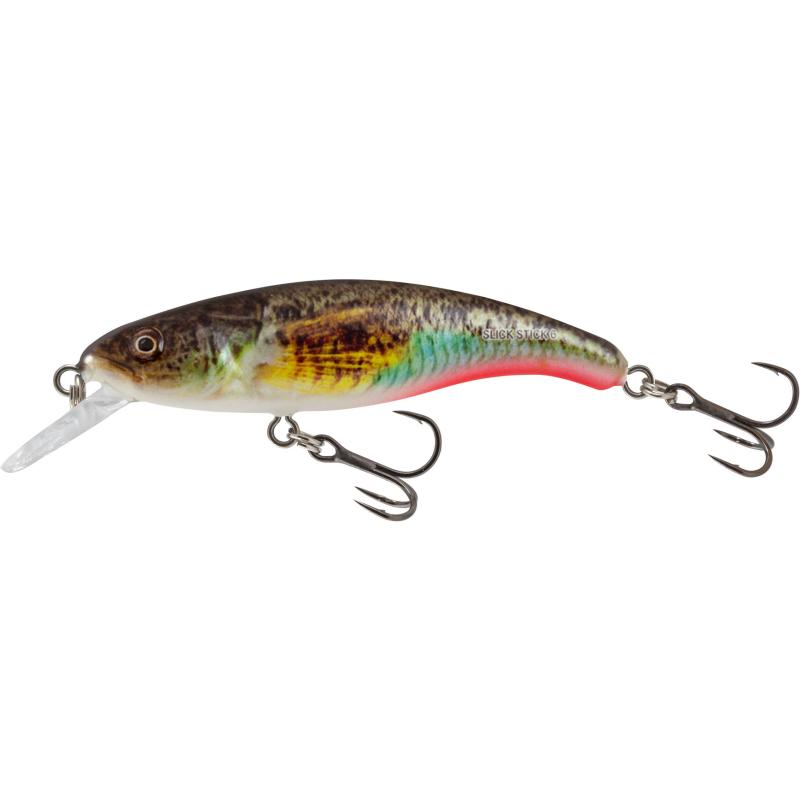Salmo Slick Stick Floating 6cm Supernatural Gobie